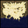 b_moc_f17 map