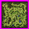cmd_fild01 map