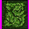 moc_fild03 map
