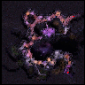 nif_f01_a map