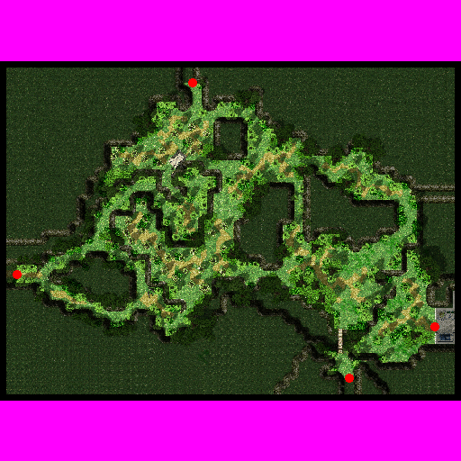 Payon Forest minimap