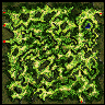 prt_f02_a map