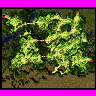 prt_f11_a map