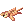 Tiger Skin icon