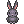 [Costume] Black Rabbit icon