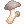 Edible Mushroom icon