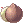 Coconut Fruit icon