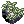 Dew-Laden Moss icon