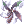 Necromancer's Shuriken icon