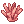 Coral Reef icon