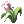 Hinalle icon