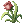 Aloe icon