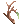 Strong Branch icon