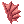 Fin icon